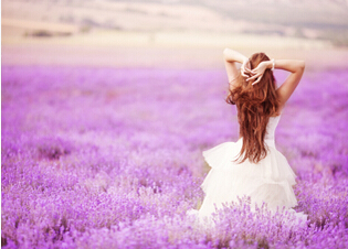 �߶˾W(w��ng)վ���O(sh��)